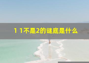 1 1不是2的谜底是什么